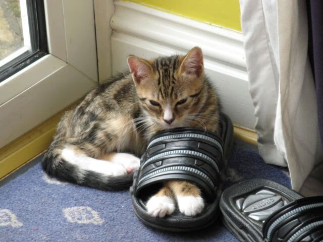 乐鱼app-巴萨新星闪耀绿茵场，19岁天才横空出世，巴萨梯队新星