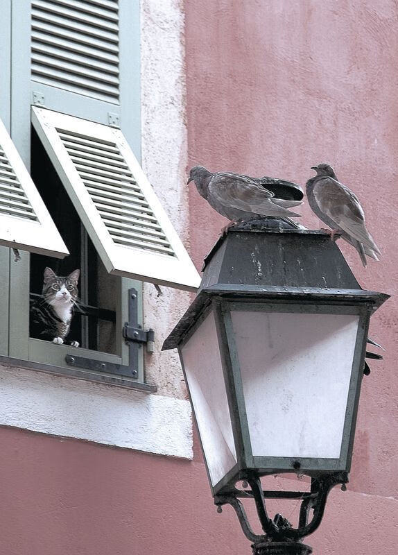 巴萨新星闪耀绿茵场,19岁天才横空出世,巴萨梯队新星