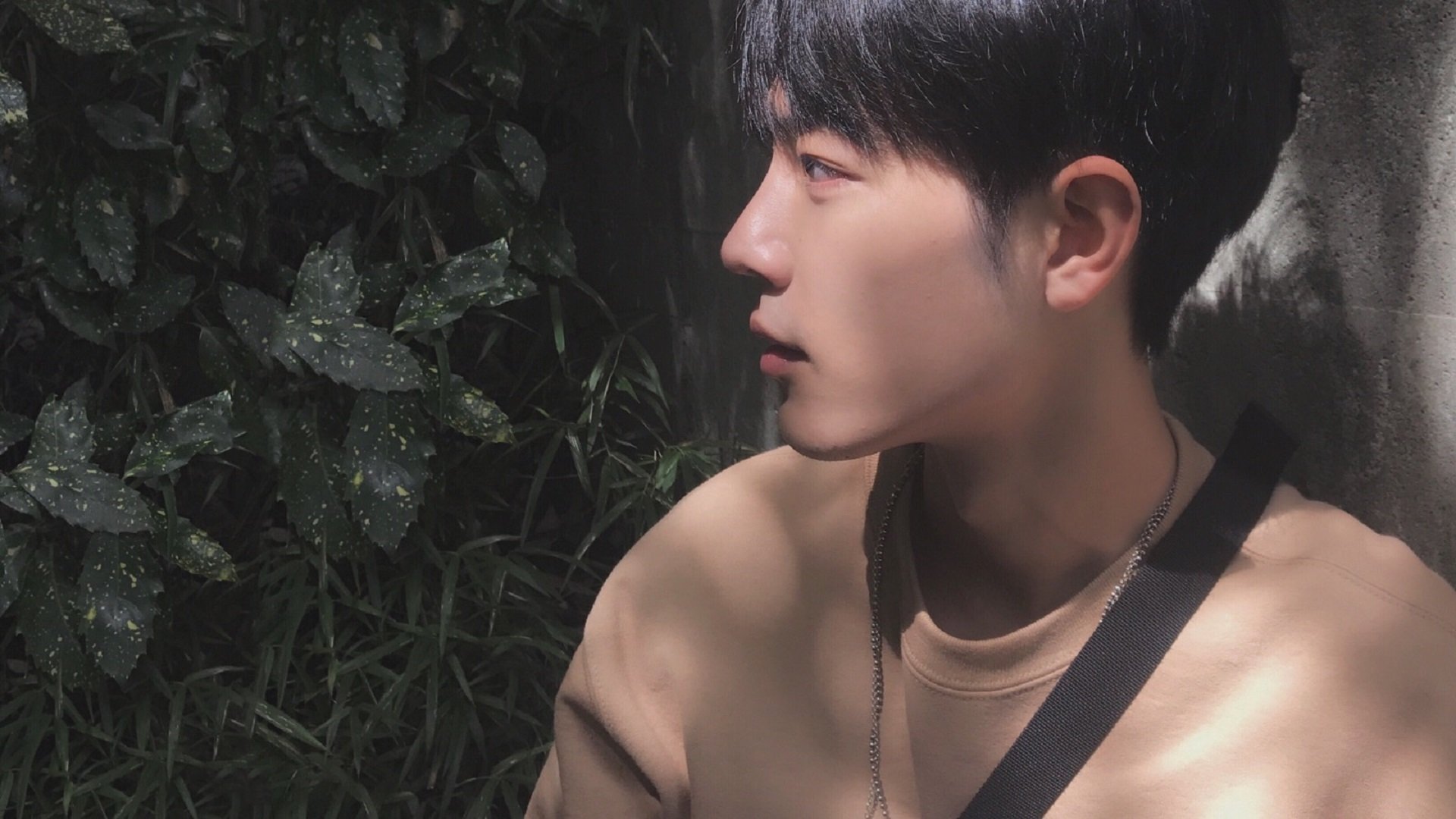 乐鱼体育平台官网-森林狼公布训练数据所有球员进步明显，森林狼球员最新名单